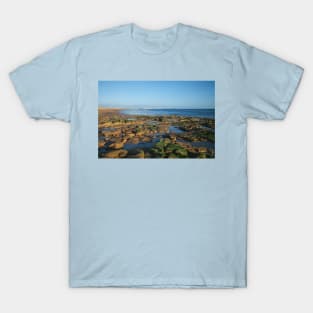 Rock Pools on the beach at Seaton Sluice T-Shirt